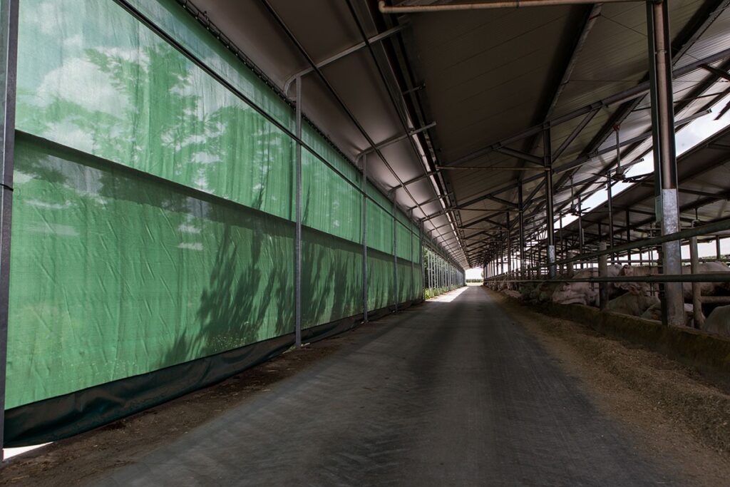 Reti frangivento ombreggianti vista da interno della stalla-chiuse