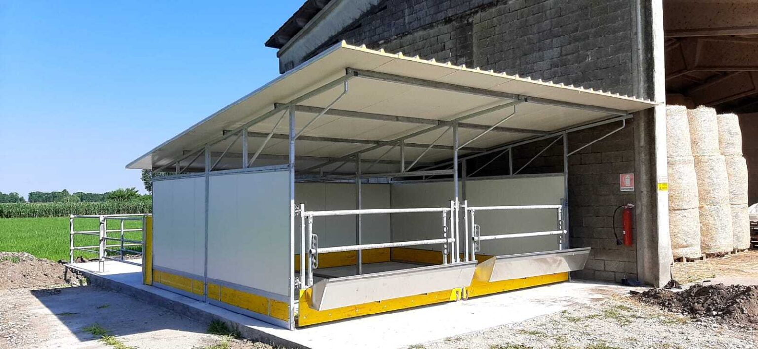 Box per post-svezzamento vitelli in struttura metallica aperta