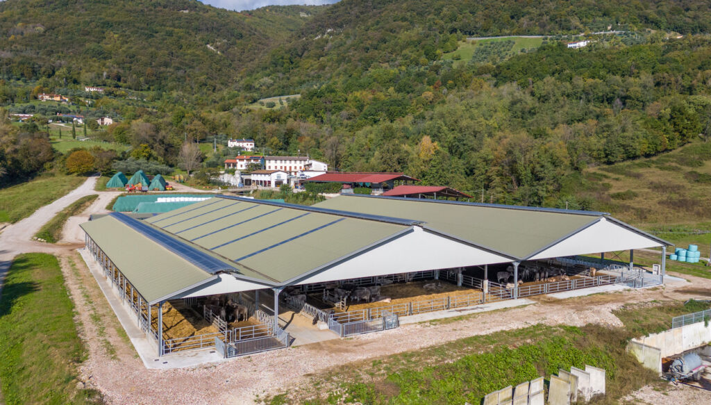 DJI_20231106105422_0039_D