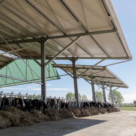 AMPLIAMENTO STALLA E ZONA PADDOCK